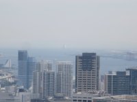 IMG_0473.JPG